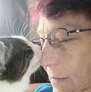 Meet your Posher, Autumn